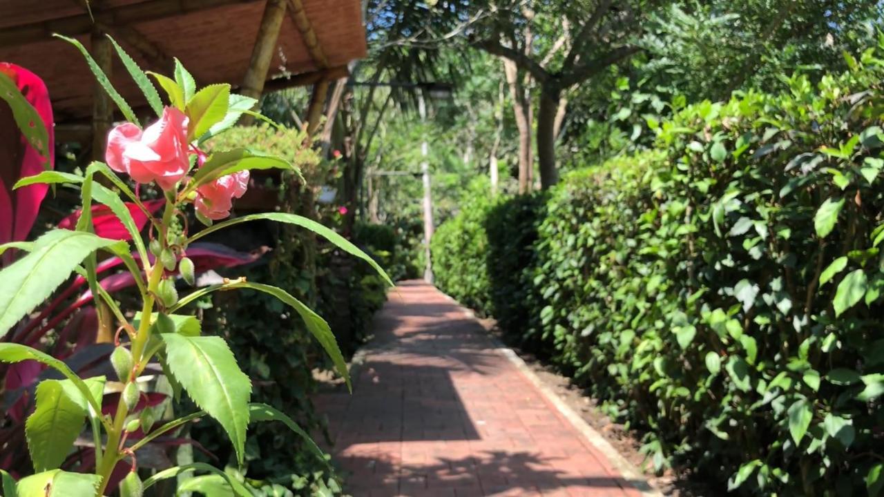 Brisas del Paraiso Bed and Breakfast Manglaralto Exterior foto